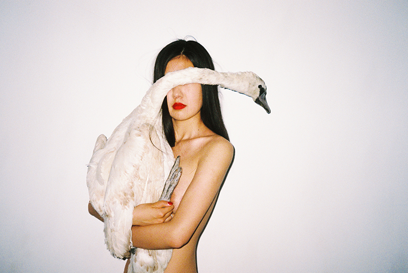 The Medium is the Message – Some Ruminations on the Work of Ren Hang